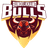 Bundelkhand Bulls Flag