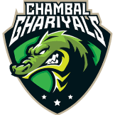 Team logo