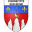 PFC Sarcelles Flag