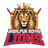 Jabalpur Lions Flag