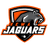 Rewa Jaguars Flag