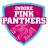 Indore Pink Panthers Flag